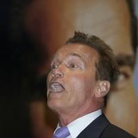 Arnold Schwarzenegger attends the Arnold Classic Europe 2011 party | Picture 97480